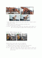[ocu 운동과 트레이닝]6주간 웨이트트레이닝 프로그램 15페이지