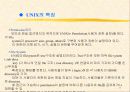 유닉스 교육자료 11페이지
