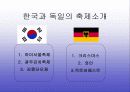 김치의 국제화 및 축제기획안 6페이지