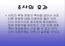 김치의 국제화 및 축제기획안 13페이지