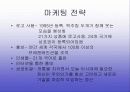 김치의 국제화 및 축제기획안 22페이지