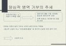 양심적 병역 거부의 의미 6페이지