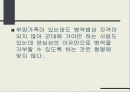양심적 병역 거부의 의미 16페이지