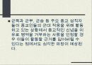 양심적 병역 거부의 의미 19페이지