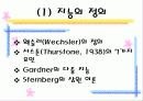 지능의 정의와 개념 지능의 성취에서의 개인차 3페이지