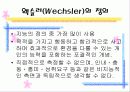 지능의 정의와 개념 지능의 성취에서의 개인차 4페이지