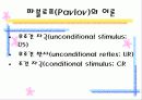 학습이론과 행동주의 5페이지