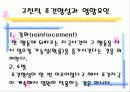 학습이론과 행동주의 8페이지
