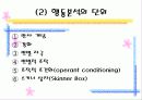 학습이론과 행동주의 20페이지