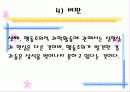 학습이론과 행동주의 26페이지