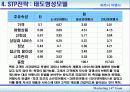 [마케팅] 파트너 여행사 소개 분석 17페이지