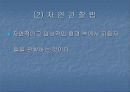 심리학의 연구방법 13페이지