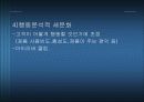 [마케팅] MP3시장의 선두기업 i-river(아이리버)를 완전히 파헤치자 41페이지