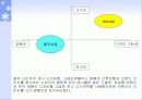 삼성전자 애니콜 마케팅 전략 13페이지