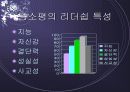 등소평 리더십 17페이지