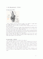 RA (RheumAtoid)루마티스 OA(Osteoarthritis)퇴행성 관절염 2페이지
