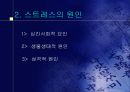 스트레스의 원인 10페이지