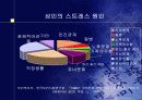 스트레스의 원인 17페이지