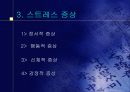 스트레스의 원인 20페이지