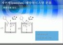 태양에너지의 이용 - 엑티브태양에너지 패시브태양에너지 10페이지