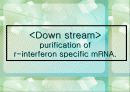 INTERFERON 19페이지