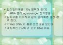 INTERFERON 26페이지