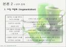 맥도날드와 롯데리아 마케팅 비교분석 13페이지