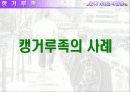 청년기 자녀와 부모관계 17페이지