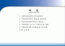 국제화 시대의 인적자원 관리 46페이지
