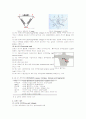 [논문] 심전도(Electrocardiogram) 4페이지