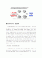 녹색관광의 활성화 방안 연구 24페이지