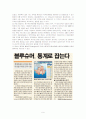 블루슈머마케팅 9페이지