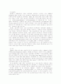 [정부회계][정부회계시스템]정부회계의 특징과 문제점 및 향후 정부회계시스템 방안 분석(재무회계의 개념, 정부회계의 회계기법상 특징, 정부 재무보고제도의 문제점, 정부회계시스템의 모색, 정부회계시스템) 22페이지