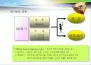 미시경영 기업조사 17페이지