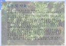셀러레 발표 자료 5페이지