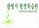 지역사회교육의 중요성 및 평생교육의 실태및 평생교육센터 실태와 활동분석A+ 33페이지