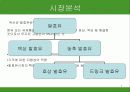 남양유업 불가리스 프라임 마케팅 전략 7페이지