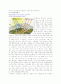환경과학 지구온난화 현상 , 문제 및 대책 6페이지