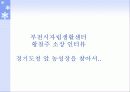 장애인 자립생활과 역량강화 30페이지