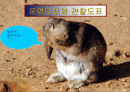 운영도포와 관찰도표 1페이지