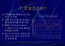 운영도포와 관찰도표 2페이지