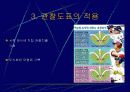 운영도포와 관찰도표 9페이지