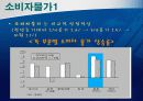 물가안정대책 ‘한국의 물가분석과 대책에 대한 20대의 고찰’ 5페이지