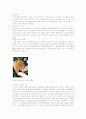 옥수수(Corn, Maize, Zea mays) 4페이지