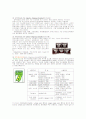 옥수수(Corn, Maize, Zea mays) 14페이지