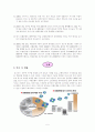론스타의 외환은행 인수 분석 5페이지