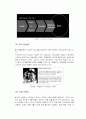 Wrist Wear 스와치 마케팅 전략 15페이지