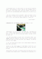 사이버 세계와 윤리 -사이버 언어폭력에 대하여. [첨부]각국의 인터넷 규제현황 15페이지
