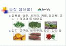 친환경농업사례 ppt 5페이지