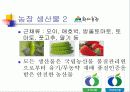 친환경농업사례 ppt 6페이지
